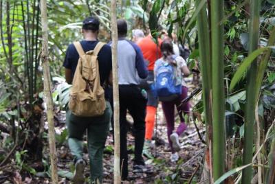 Caminata por la selva tropical en Guyana