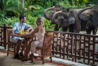 Experiencia de atención para el elefante y el desayuno en Ubud