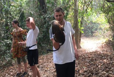 Presa de Akosombo, cascadas de Wli, santuario de monos, excursión