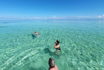 Paseo en barco 7 etapas, 4 de ellas nadando desde Sainte Rose