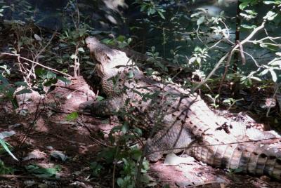 Descubre Malawi en 7 días. Tour privado con alojamiento