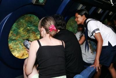 Paseo submarino de 2 horas por las Maldivas desde Malé Paseo submarino de 2 horas por las Maldivas desde Malé