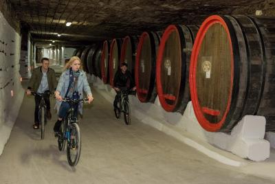 Andar en bicicleta en una bodega Guinness Book