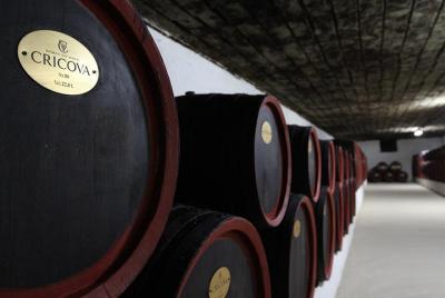 GRUPO - Bodega Cricova, Antiguo Orhei y Monasterio Curchi
