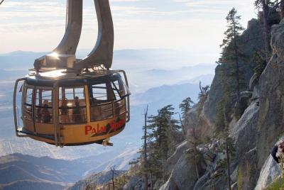 Excursión de un día a Palm Springs y compras en tiendas de marca 