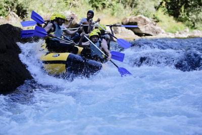 Tour de rafting en aguas blancas del río Tara de Kotor desde Koto Tour de rafting en aguas blancas del río Tara de Kotor desde Koto