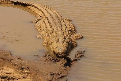 Medio día de cocina local, vino y vida salvaje Medio día de cocina local, vino y vida salvaje