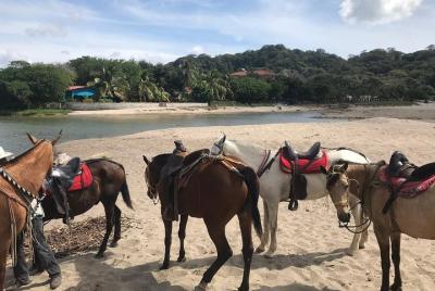 Tour a caballo en San juan del Sur; Nicaragua