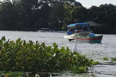 Lugares turísticos en Granada Cosas que hacer en Granada 182995