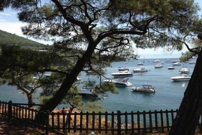 Tour de las Islas Príncipes Naturales - Grupo pequeño