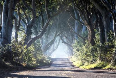 Recorrido por los lugares de rodaje de Juego de Tronos desde Belf Recorrido por los lugares de rodaje de Juego de Tronos desde Belf