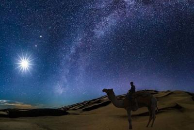 (Tour privado) Safari nocturno en el desierto, paseo en camello,  (Tour privado) Safari nocturno en el desierto, paseo en camello,