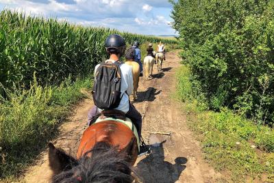 Excursión a caballo en Brasov - Montar caballos a través de campo