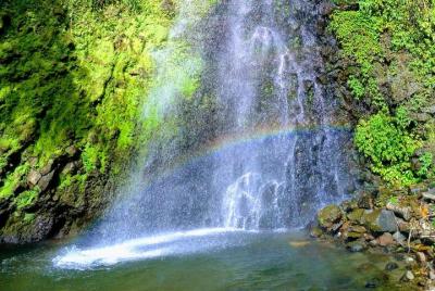 Tour por la playa y la cascada Dark View