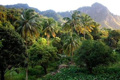 Sendero natural de Vermont con Topdawg Taxi y Tours