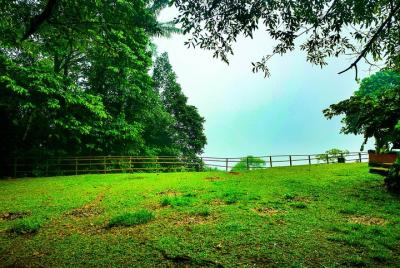 Excursión de 2 días a Brownsberg con alojamiento