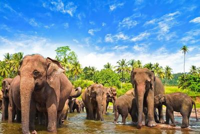 Lugares turísticos en Nuwara Eliya Cosas que hacer en Nuwara Eliya 181208