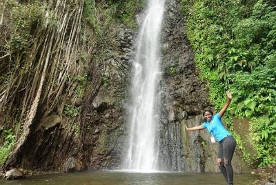 Tour grupal compartido de medio día en Kingstown y Dark View Fall