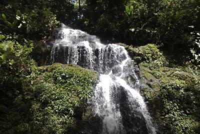 Brownsberg y Stuwmeer