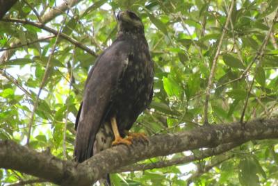 Recorrido en bicicleta por el humedal ‘Plantaadje