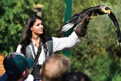 Entrada a Falconeria Locarno