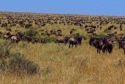 Lugares turísticos en Moshi Cosas que hacer en Moshi 178759