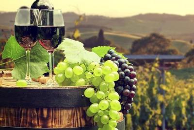 Excursión de un día a Casablanca con almuerzo y cata de vinos en  Excursión de un día a Casablanca con almuerzo y cata de vinos en