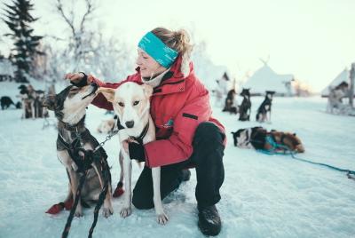 Tromso: Husky Sledding Self-Drive Adventure