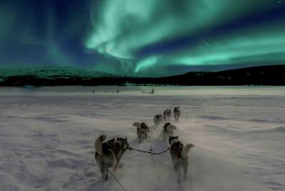 Caza de la aurora boreal con Husky
