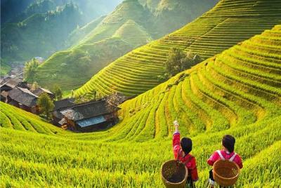 Tour privado de 3 días desde Beijing en avión: Guilin, Longji Ric