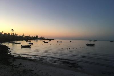 Paseo a caballo al amanecer