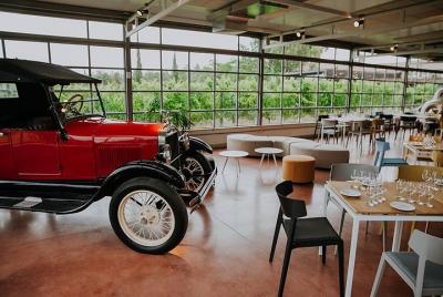 Bouza Winery Tour desde Montevideo con degustaciones y tapas (Esp