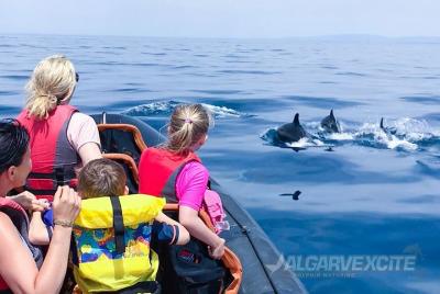 El viaje en barco más barato para familias desde Vilamoura Algarv