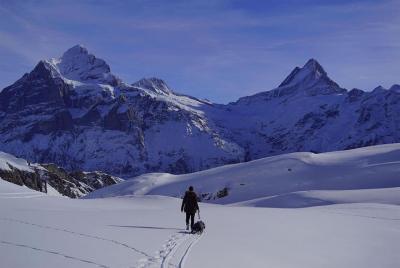Desde Zúrich: los lugares privilegiados más bellos de Suiza (tour