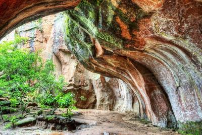 Aventura por el Parque Nacional Toro Toro. 3 días 2 noches. Guia 