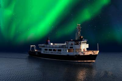 Auroras boreales en barco desde Reikiavik