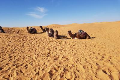 Tatouine - Chenenni - Ksar Ghuilaine - Matmata: visita de 2 días