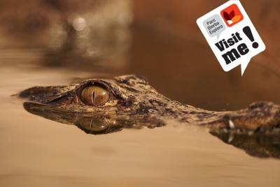 Evite las colas: entrada al parque Djerba Explore