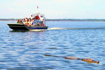 Fan-Boat del Parque Nacional Everglades con o sin transporte de i Fan-Boat del Parque Nacional Everglades con o sin transporte de i