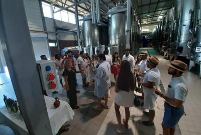 Budget Wine Tour Baku con grupo