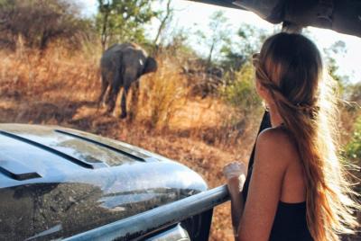Excursión de un día a Udawalawe desde Colombo (solo traslado)