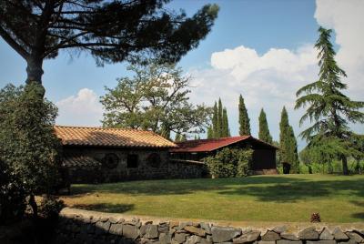 Excursión enológica a Frascati con salida de Roma