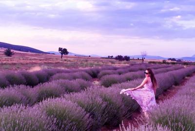 Campos de lavanda y lago Salda de Antalya
