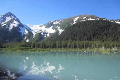 Turnagain Arm Tour: "Un destino imperdible" Turnagain Arm Tour: