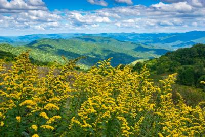 Caminata de medio día con vistas de largo alcance desde Asheville