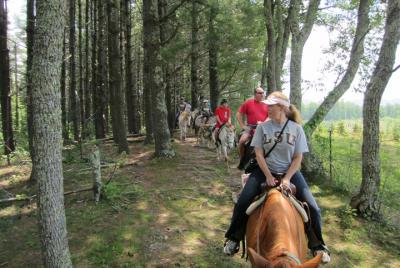 Paseo a caballo combinado por un sendero en bosques de azaleas y 