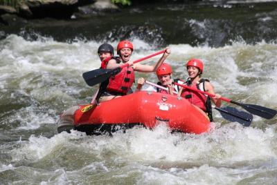 Viaje de rafting en aguas bravas de French Broad Gorge