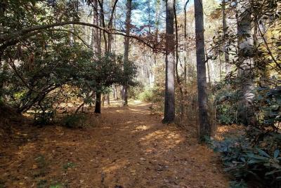 Tour de carrera por el arboreto de Carolina del Norte en Ashevill