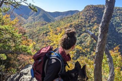 Senderismo para grupos pequeños: lo mejor de las montañas Blue Ri