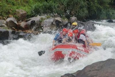 Tour Privado desde Ocho Ríos a Rafting y Tubing